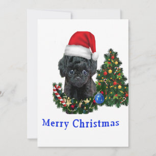 Festividades Cartão de Natal do cachorro fofo Poodle