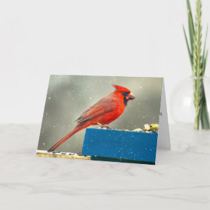 Festividades Cartão de Natal do Cardinal