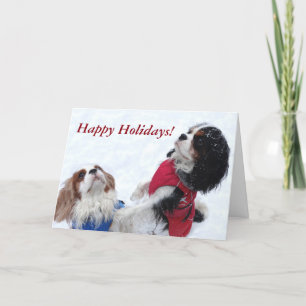 Festividades Cartão de Natal do Cavalier King Charles Spaniel