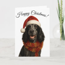 Cartão de Natal do Cocker Spaniel com saudações de