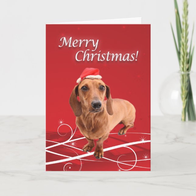 Festividades Cartão de Natal do Dachshund (Frente)