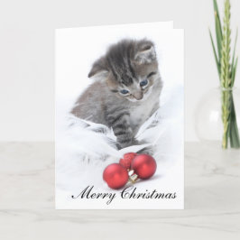 Festividades Cartão de Natal do gatinho