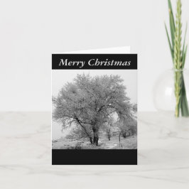 Festividades Cartão de Natal do inverno de Colorado