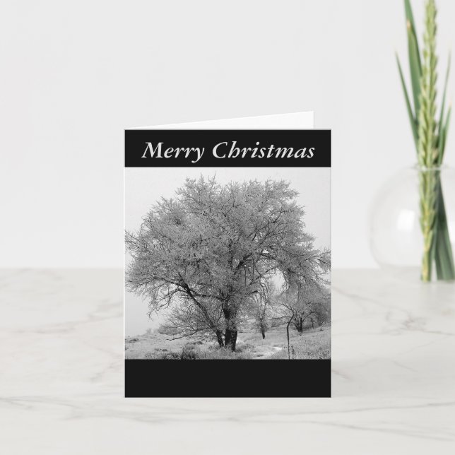 Festividades Cartão de Natal do inverno de Colorado (Frente)