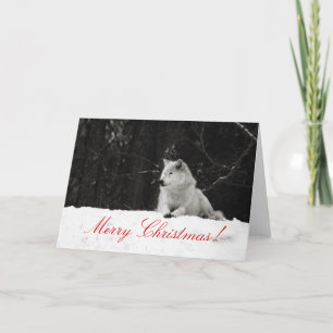 Festividades Cartão de Natal do Lobo de Neve