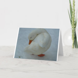 Festividades Cartão de Natal do pato