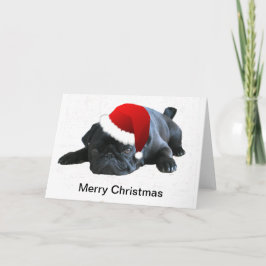 Festividades Cartão de Natal do Pug