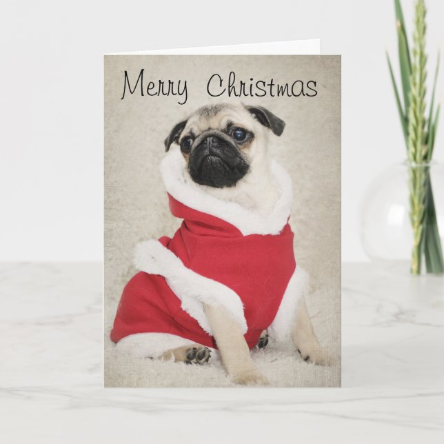 Festividades Cartão de Natal do Pug (Frente)