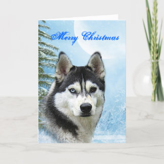Festividades Cartão de Natal do rouco Siberian