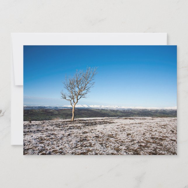 Festividades Cartão de Natal do Scout Scar (Frente)