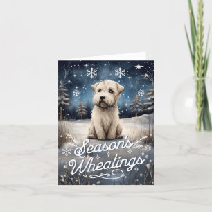Festividades Cartão de Natal do Soft Coated Wheaten Terrier