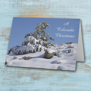 Festividades Cartão de Natal do Winter Pine Colorado