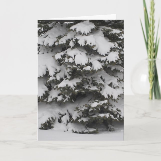 Festividades Cartão de Natal Dobrado Ramos Nevados (Frente)