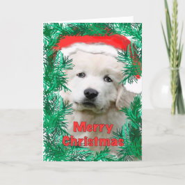 Festividades Cartão de Natal dos Pirenéus Excelentes