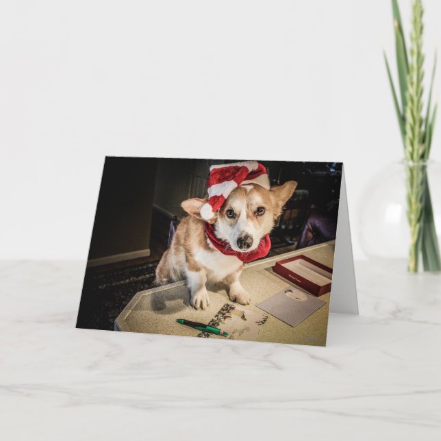 Festividades Cartão de Natal Elf Corgi (Frente)