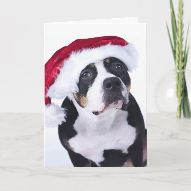 Festividades Cartão de Natal Engraçado (Frente)