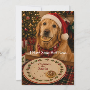 Festividades Cartão de Natal Engraçado de Cachorro Biscoitos