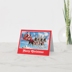 Festividades Cartão de Natal engraçado do Australian Shepherd
