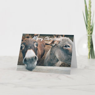 Festividades Cartão de Natal Engraçado - Donkey