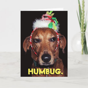 Festividades Cartão de Natal engraçado para cães HUMBUG