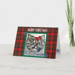 Festividades Cartão de Natal Feliz para Gatos Exóticos de Longa