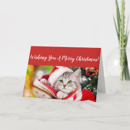 Festividades Cartão de Natal Fluffy Kitten