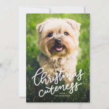 cartão de Natal fofo animal de estimação