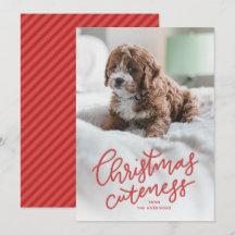 Cartão de Natal fofo com animal de estimação
