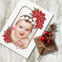 Cartão de Natal Foto Poinsettia Vermelha Borda Bra