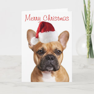 Festividades Cartão de Natal francês Buldogue
