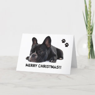 Festividades Cartão de Natal francês Buldogue