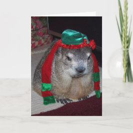 Festividades Cartão de Natal Groundhog