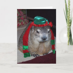 Festividades Cartão de Natal Groundhog