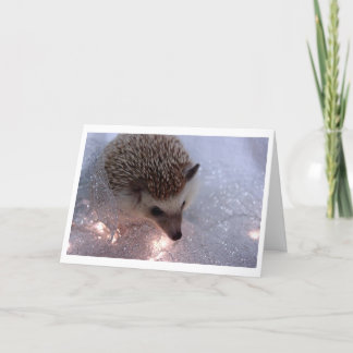 Festividades Cartão de Natal Hedgehog