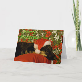Festividades Cartão de Natal II german shepherd