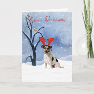 Festividades cartão de natal jack russell - buldogue tem rena