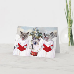 Festividades Cartão de Natal Kitten Carol