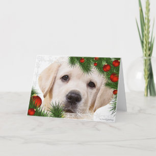 Festividades Cartão de Natal Labrador Amarelo