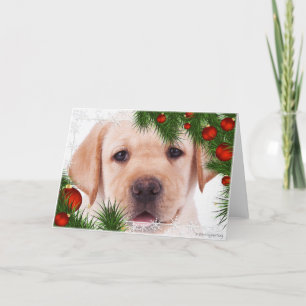 Festividades Cartão de Natal Labrador Amarelo