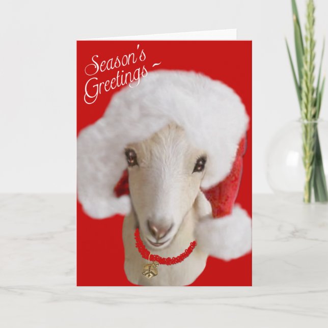Festividades Cartão de Natal LaMancha Goat (Frente)