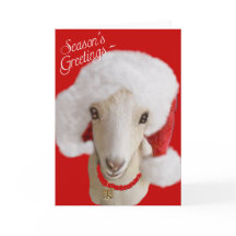 Cartão de Natal LaMancha Goat