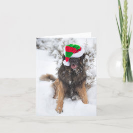 Festividades Cartão de Natal Leonberger da Feliz feliz