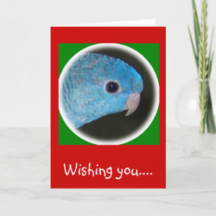 Festividades cartão de natal linnie parakeet feriado feliz