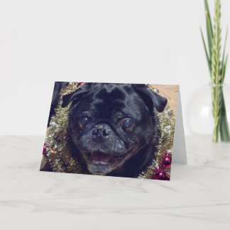 Festividades Cartão de Natal louco do Pug