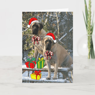 Festividades Cartão de Natal Mastiff