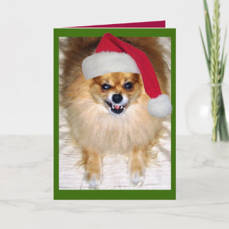 Festividades Cartão de Natal mau do papai noel