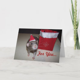 Festividades Cartão de Natal Noah 2