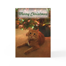 Cartão de Natal Orange Tabby