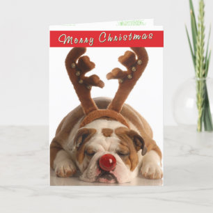Festividades Cartão de Natal para Buldogue