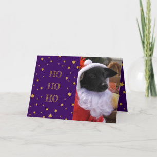 Festividades Cartão de Natal para Cachorros ou Adicionar sua pr